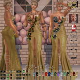 Son!a-Edge MonteCarlo Fitted mesh Formal Dress Gold