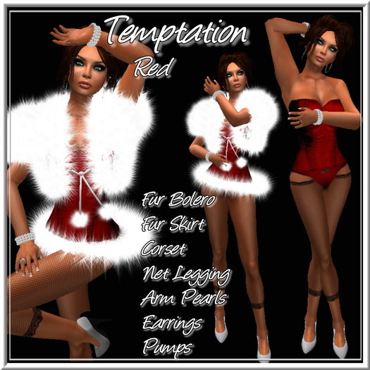Winter/Christmas Temptation Santa Outfit Red