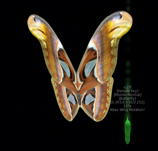 {Papillon} Fe/Mon/Nor/Fey/Butterfly/Atlas Cocoon