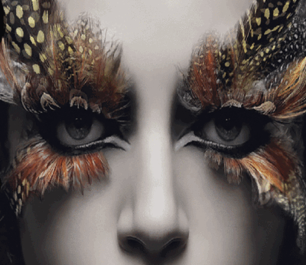 bird eyes