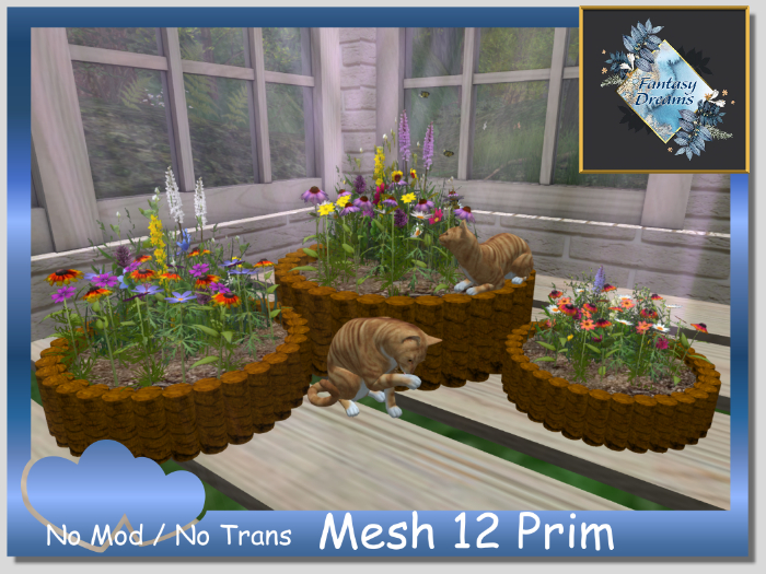 Flower Cats Spring
