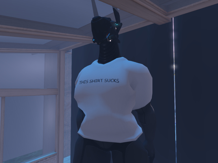 hips edit basic shirt