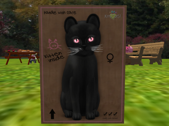 KittyCatS Box - 9 Traits