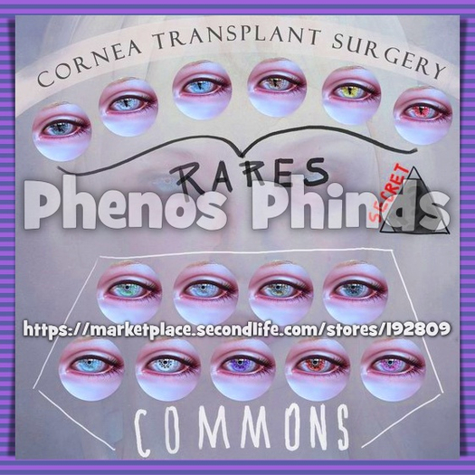 Clemmm - Cornea Transplant Blue **RETIRED**
