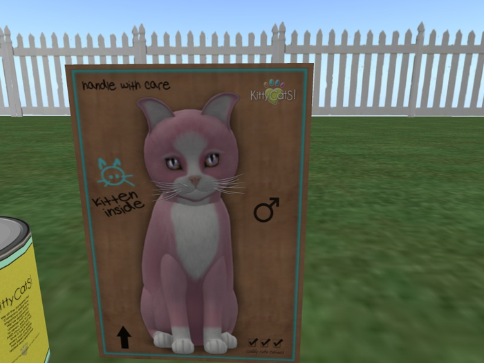 KittyCatS Box - New Born Kitten Chateau Cat - Pink & White No. 1