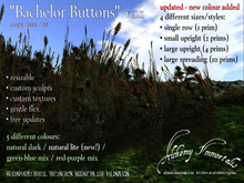) AI ( - "Bachelor's Buttons" (Native Irish Grasses Collection) ($425 on sale for $345) (WAS $425 -> NOW ONLY $105!)