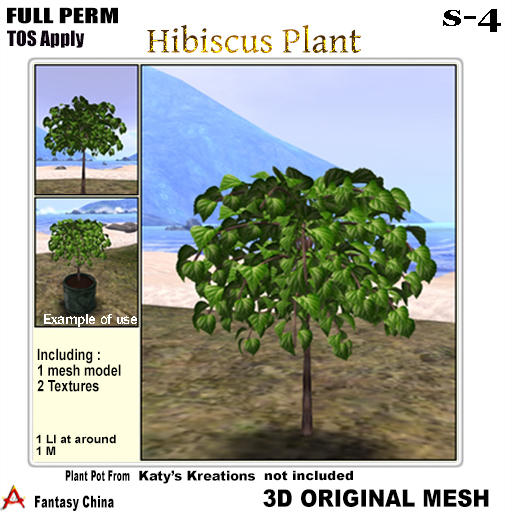 Full Perm Hibiscus Plant