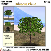 Full Perm Hibiscus Plant