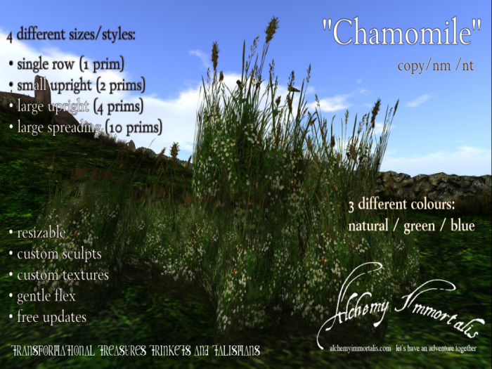 ) AI ( - "Chamomile" (Native Irish Grasses Collection) (WAS $375 -> NOW ONLY $95!)