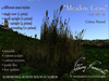Meadowgrass 700 525