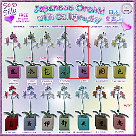 So Silly Japanese Orchid Calligraphy BOX - Fun