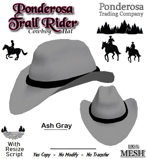 Ponderosa Trail Rider Cowboy Hat Ash Gray