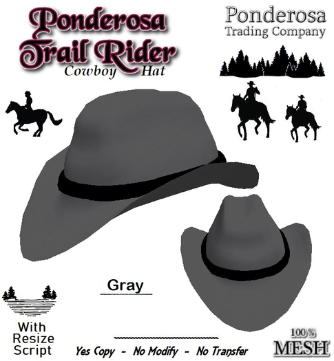 Ponderosa Trail Rider Cowboy Hat [MESH] Gray