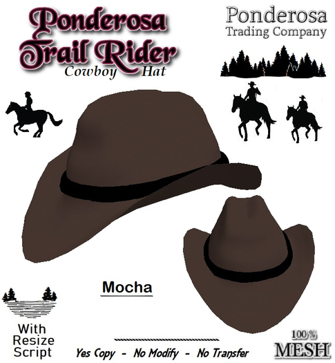 Ponderosa Trail Rider Cowboy Hat Mocha