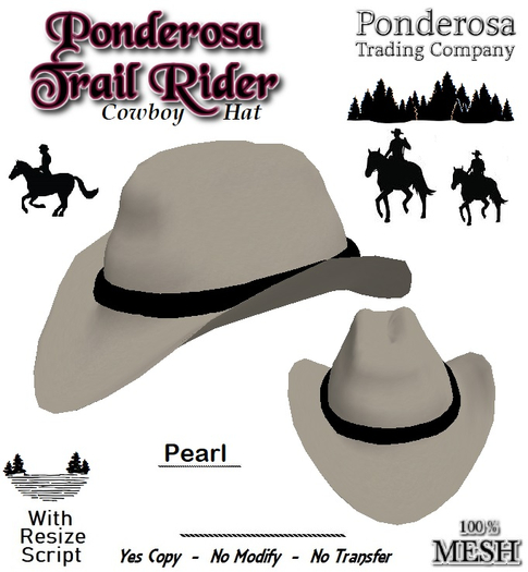 Ponderosa Trail Rider Cowboy Hat [MESH] Pearl