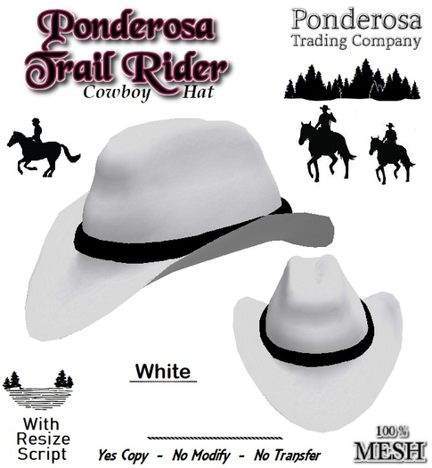 Ponderosa Trail Rider Cowboy Hat [MESH] White