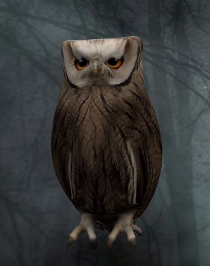 #CRUMPY OWL wink & sound
