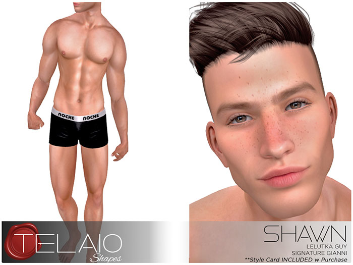 Shawn v1.0