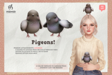 MishMish - Pigeon Attachment [Fatpack]