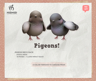 MishMish - Pigeon Deco [Fatpack]