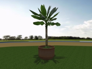 DM Floor Plant 2