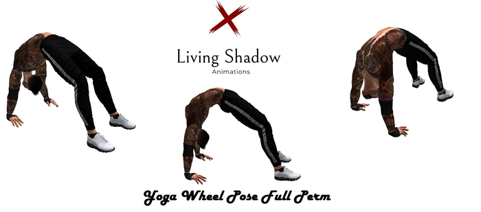 .:Living Shadow:. Yoga Wheel Pose Full Perm