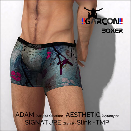 !!GARCON!! Boxer Paris 03