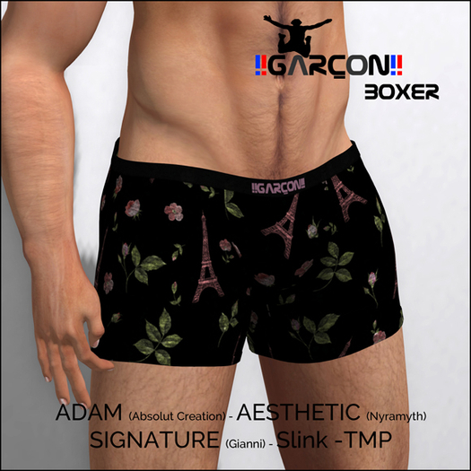 !!GARCON!! Boxer Paris 05