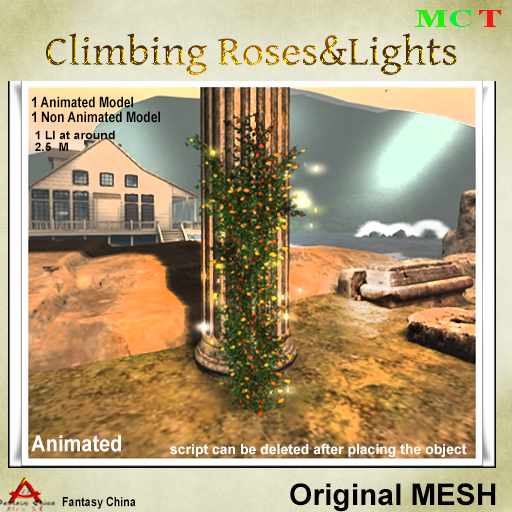 Roses & Lights 