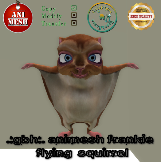 .:GBH:. Animesh Frankie flying squirrel companion
