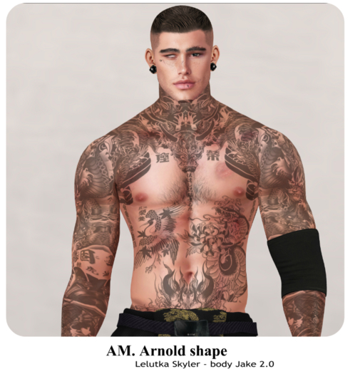 AM. - Arnold shape