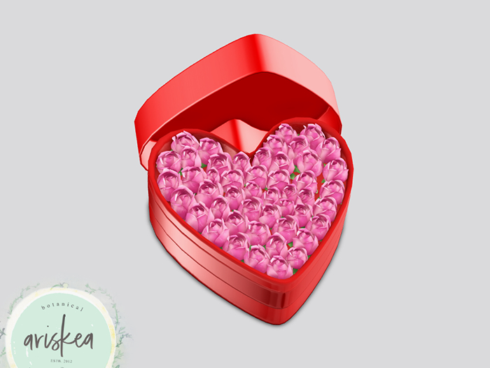 Ariskea[Adora] Roses Box  - 3