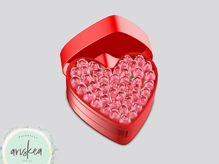 Ariskea[Adora] Roses Box  - 2