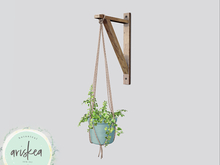 Ariskea[Echo] Hanging Ivy Plant [Blue]