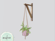 Ariskea[Echo] Hanging Ivy Plant [Pink]