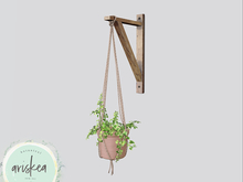 Ariskea[Echo] Hanging Ivy Plant [Peach]