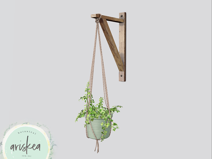 Ariskea[Echo] Hanging Ivy Plant [Mint]