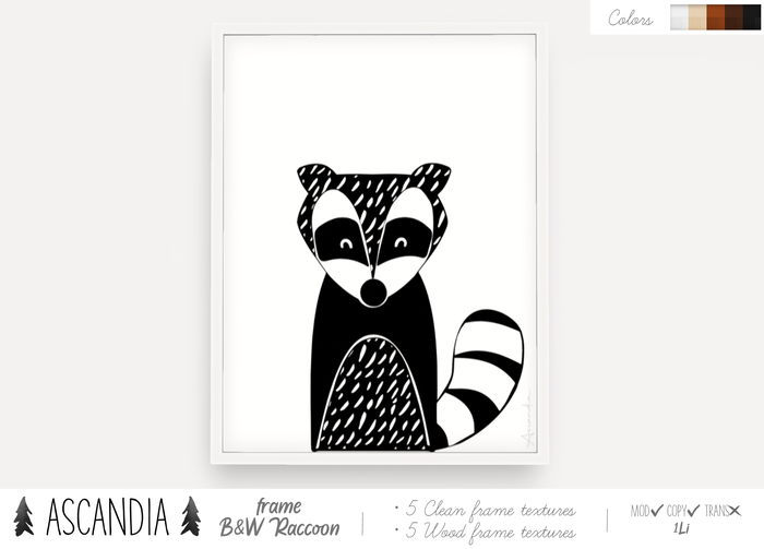 Ascandia // Frame B&W Raccoon