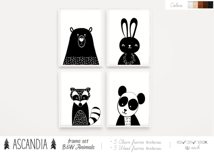 Ascandia // Frame Set B&W Animals