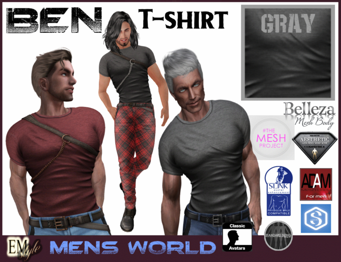 EMS - BEN SHIRT - GRAY PACK
