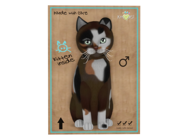 KittyCatS Box - 5 T - M - Genesis - Patch II