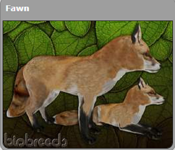 BB Fox Box - Fawn/Corrupt/Tiled/Smear