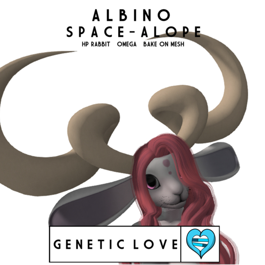 Geneticlove's -SpaceAlope Albino