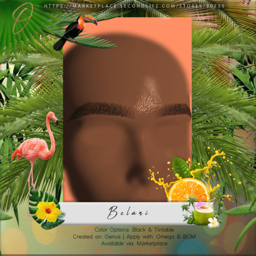 Ocular - Belani Brows