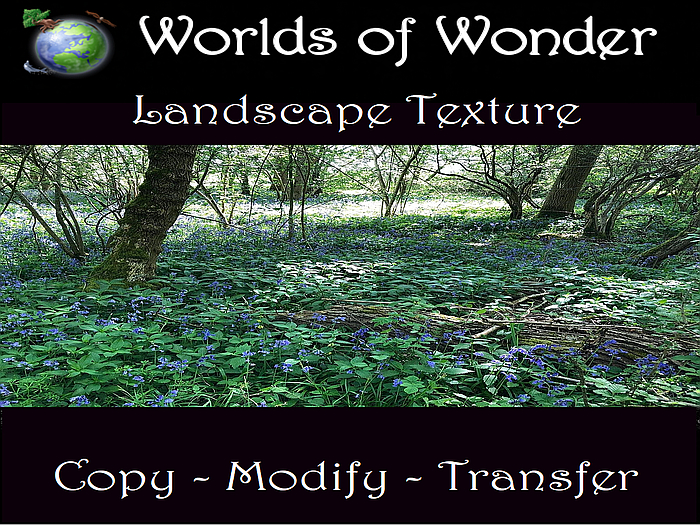 WoW Landscape - Bluebell Woods v3 (Boxed)