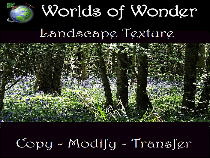 WoW Landscape - Bluebell Woods v1 (Boxed)