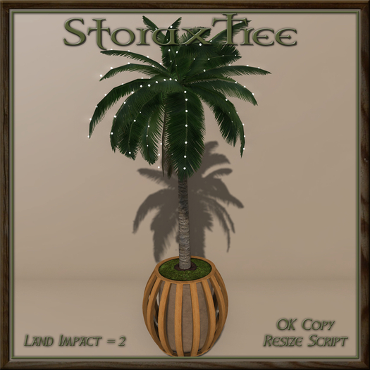 Modern Patio Palm Planter B4