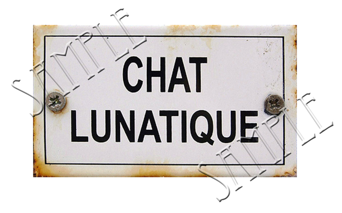 Chat Lunatique - Crazy Cat