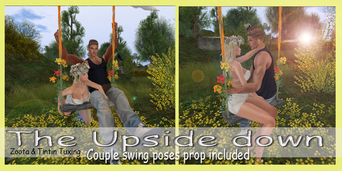 Swing for couple