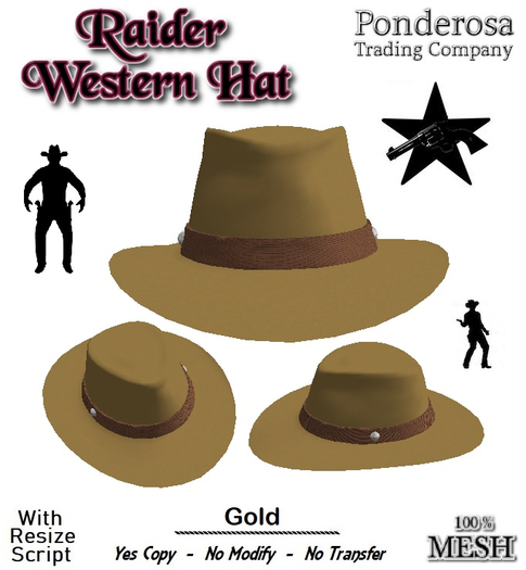 Raider Western Hat [MESH] Gold